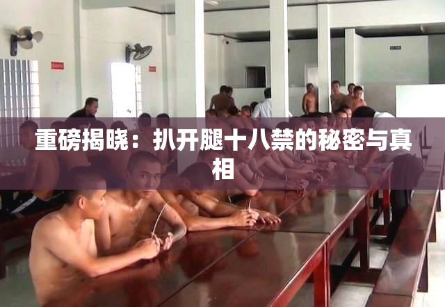 重磅揭晓：扒开腿十八禁的秘密与真相