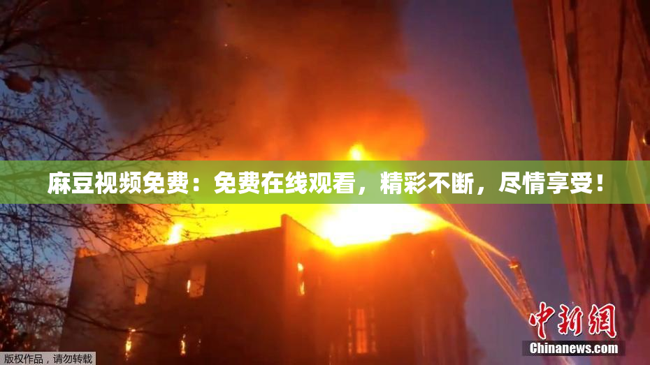 麻豆视频免费：免费在线观看，精彩不断，尽情享受！