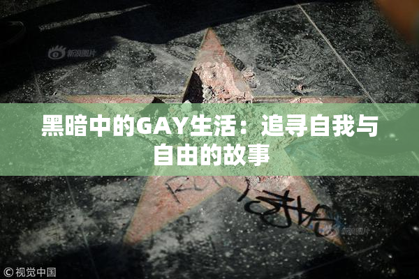 黑暗中的GAY生活：追寻自我与自由的故事