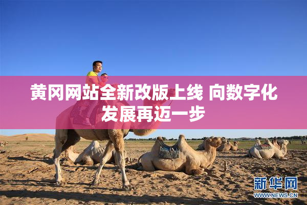 黄冈网站全新改版上线 向数字化发展再迈一步