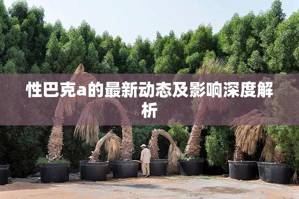 性巴克a的最新动态及影响深度解析