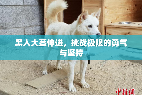 黑人大茎伸进，挑战极限的勇气与坚持
