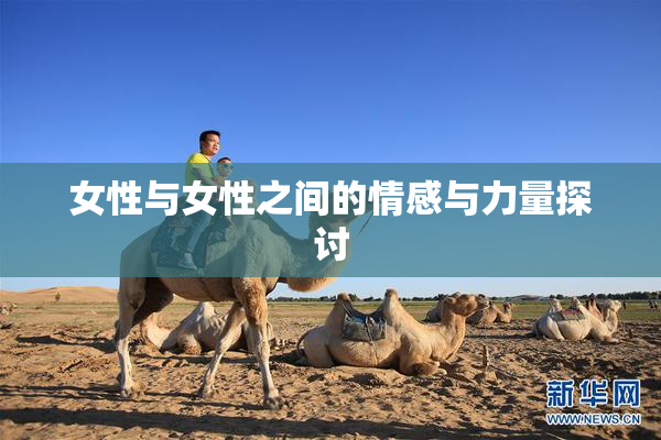 女性与女性之间的情感与力量探讨