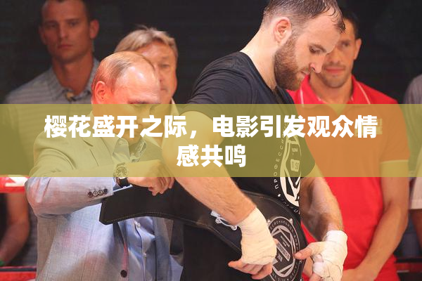 樱花盛开之际，电影引发观众情感共鸣