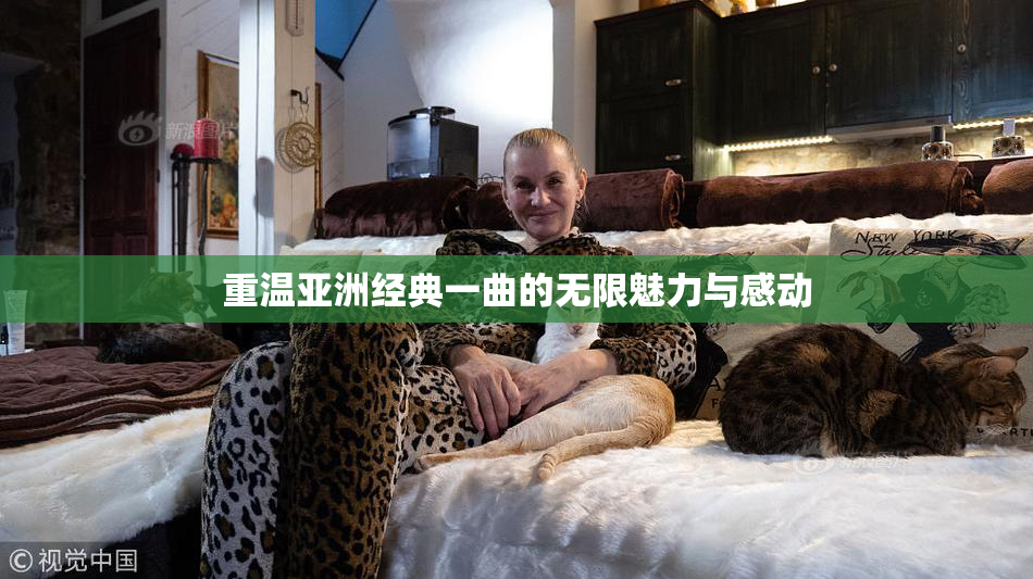 重温亚洲经典一曲的无限魅力与感动