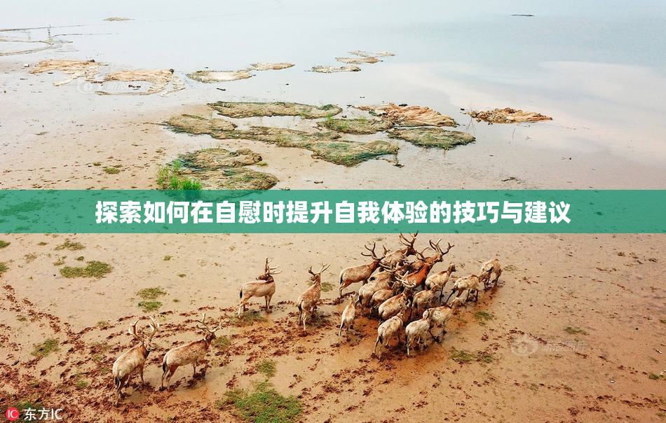 探索如何在自慰时提升自我体验的技巧与建议