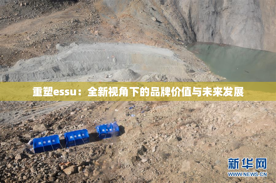 重塑essu：全新视角下的品牌价值与未来发展