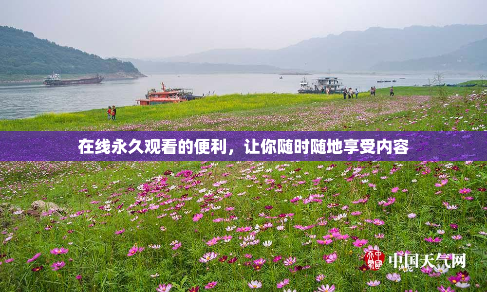 在线永久观看的便利，让你随时随地享受内容