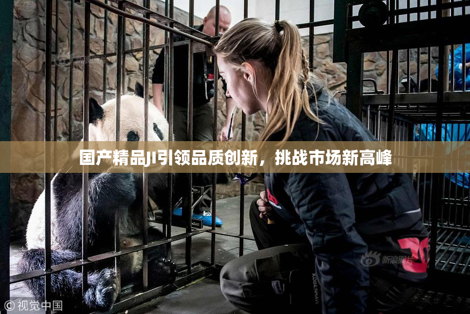 国产精品JI引领品质创新，挑战市场新高峰