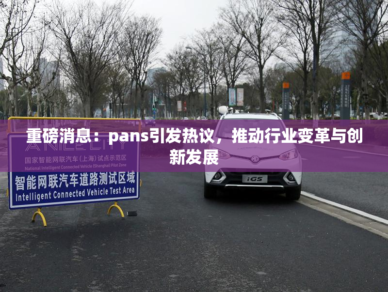 重磅消息：pans引发热议，推动行业变革与创新发展