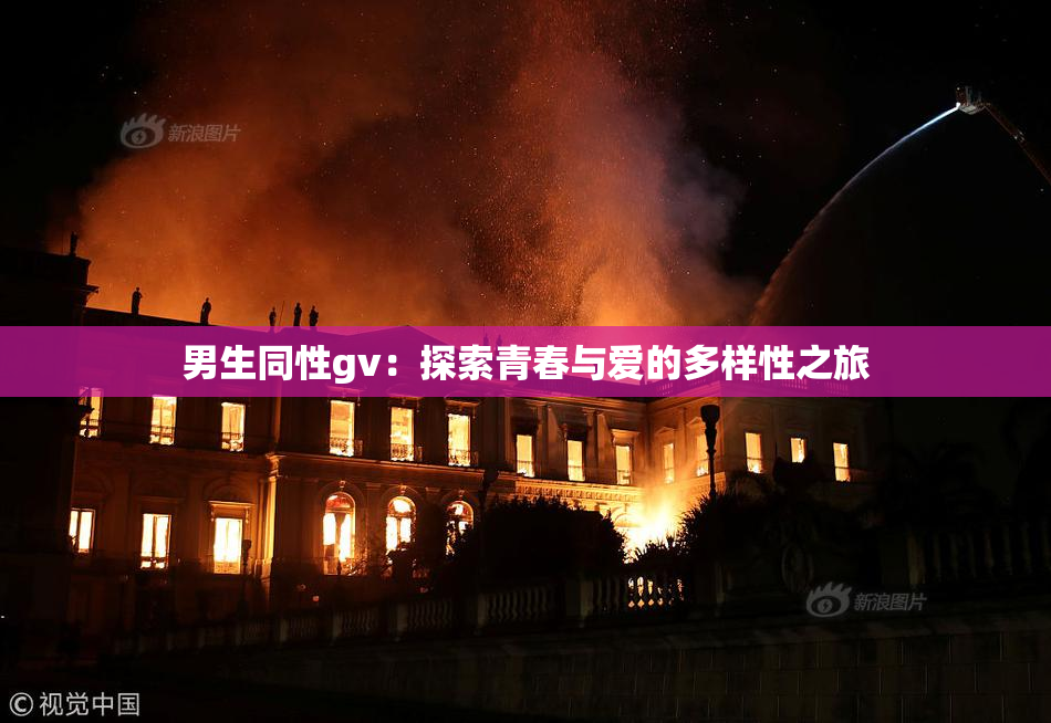 男生同性gv：探索青春与爱的多样性之旅