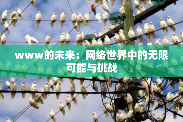www的未来：网络世界中的无限可能与挑战