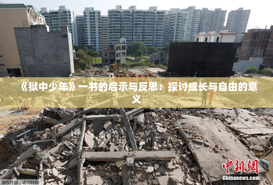《狱中少年》一书的启示与反思：探讨成长与自由的意义