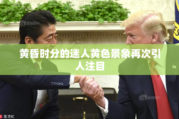 黄昏时分的迷人黄色景象再次引人注目