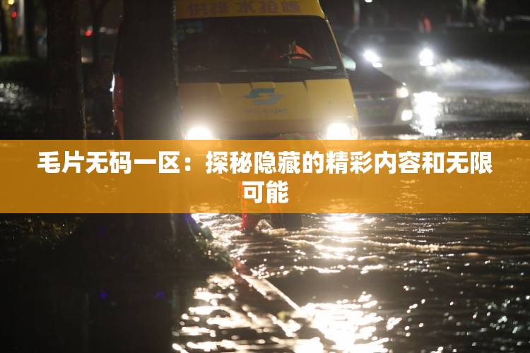 毛片无码一区：探秘隐藏的精彩内容和无限可能