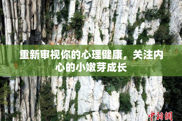 重新审视你的心理健康，关注内心的小嫩芽成长