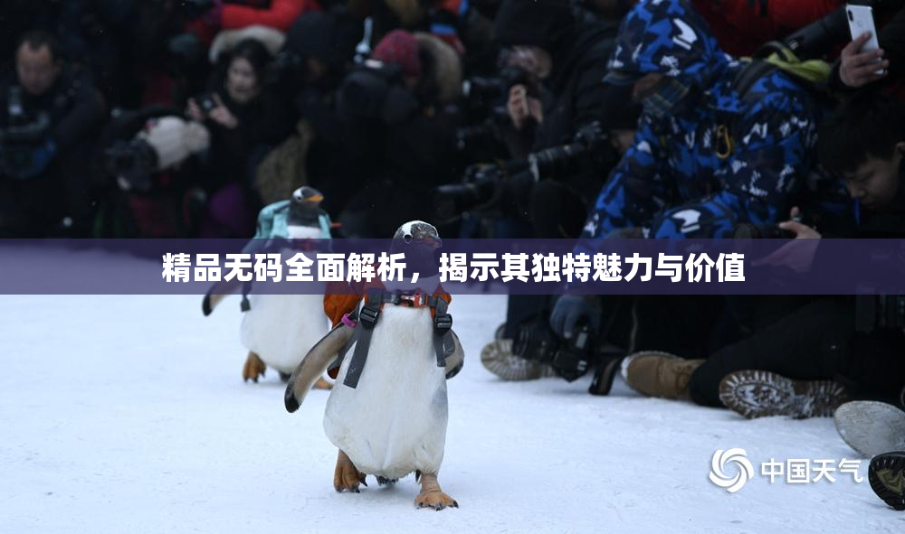 精品无码全面解析，揭示其独特魅力与价值