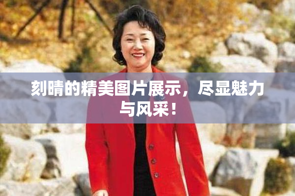 刻晴的精美图片展示，尽显魅力与风采！