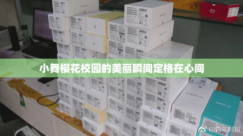 小舞樱花校园的美丽瞬间定格在心间