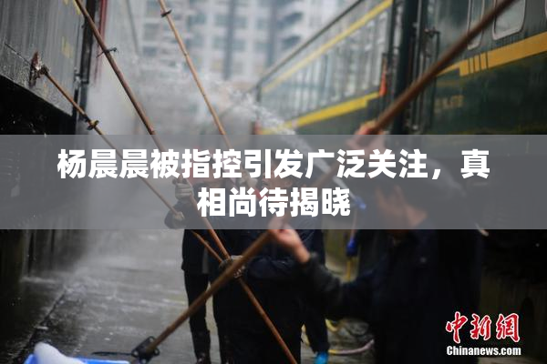 杨晨晨被指控引发广泛关注，真相尚待揭晓