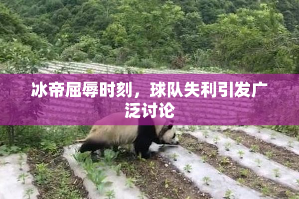 冰帝屈辱时刻，球队失利引发广泛讨论