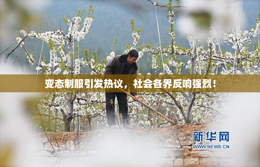 变态制服引发热议，社会各界反响强烈！