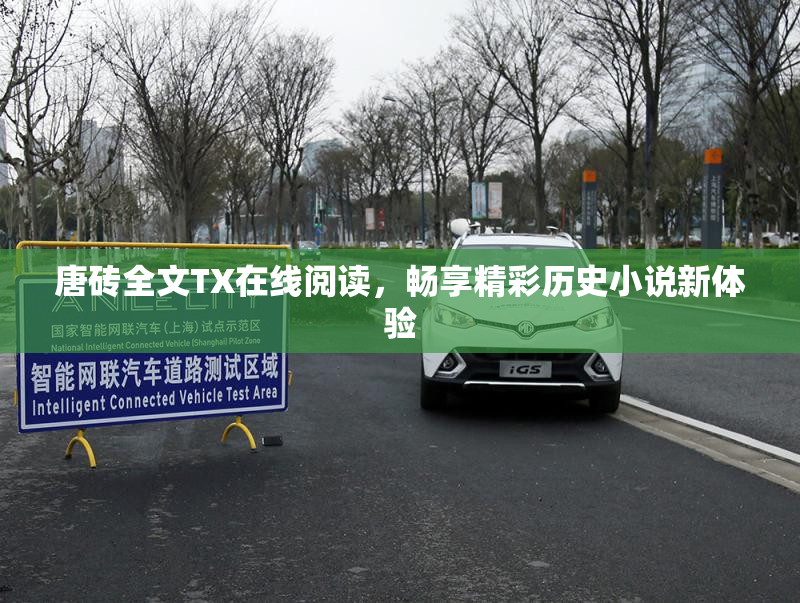 唐砖全文TX在线阅读，畅享精彩历史小说新体验
