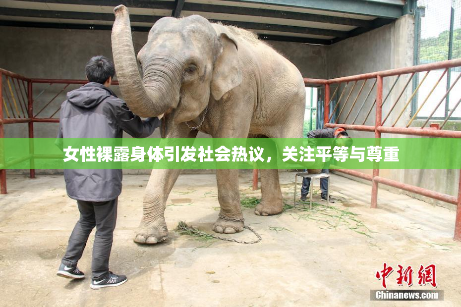 女性裸露身体引发社会热议，关注平等与尊重