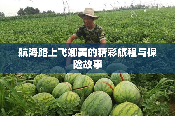 航海路上飞娜美的精彩旅程与探险故事