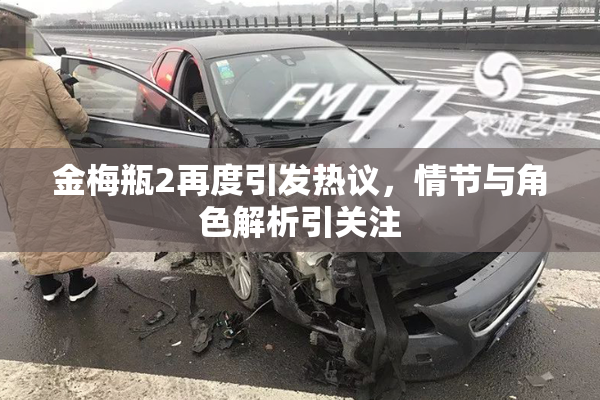 金梅瓶2再度引发热议，情节与角色解析引关注