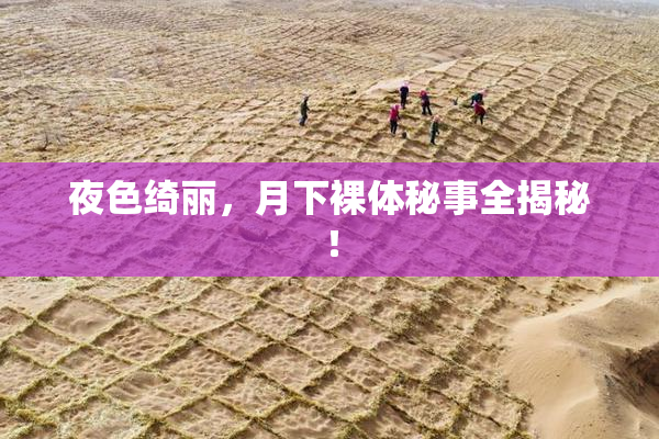 夜色绮丽，月下裸体秘事全揭秘！
