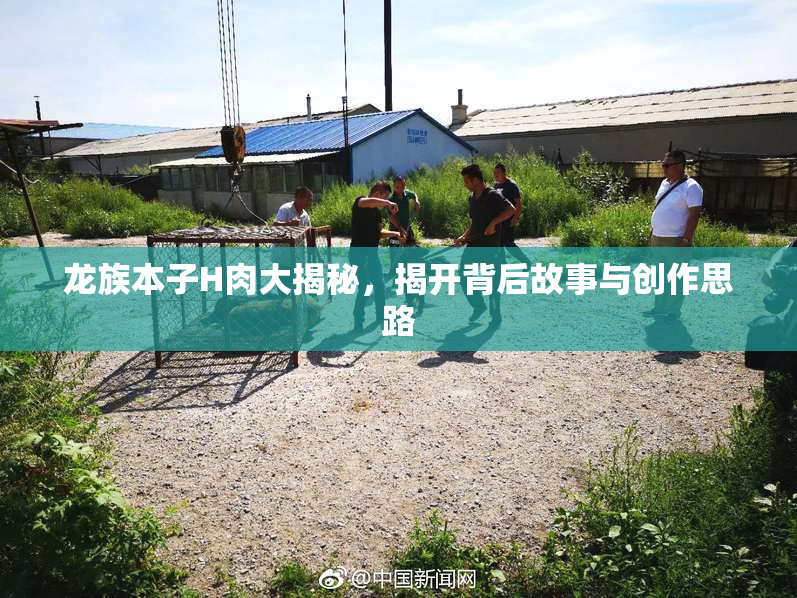龙族本子H肉大揭秘，揭开背后故事与创作思路