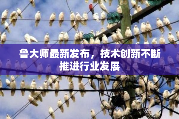 鲁大师最新发布，技术创新不断推进行业发展
