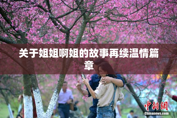 关于姐姐啊姐的故事再续温情篇章