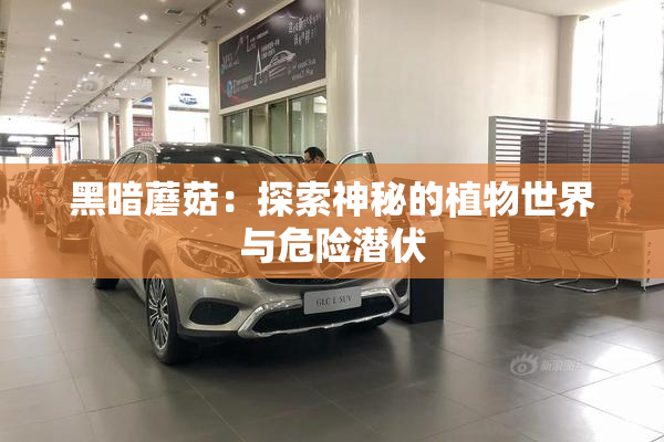 黑暗蘑菇：探索神秘的植物世界与危险潜伏