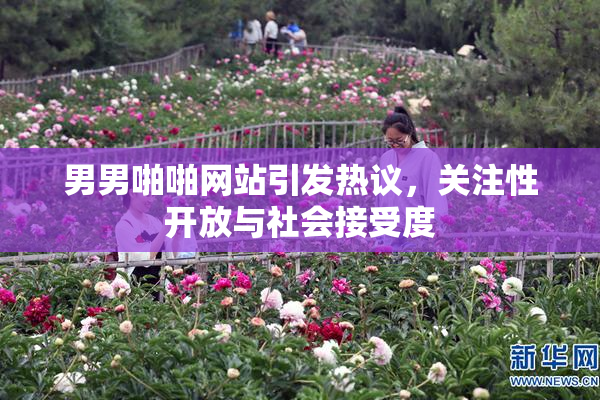 男男啪啪网站引发热议，关注性开放与社会接受度