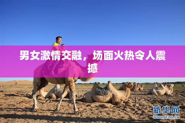 男女激情交融，场面火热令人震撼