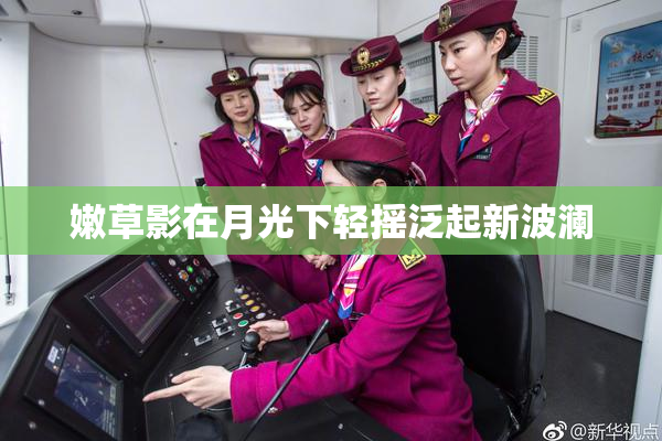 嫩草影在月光下轻摇泛起新波澜