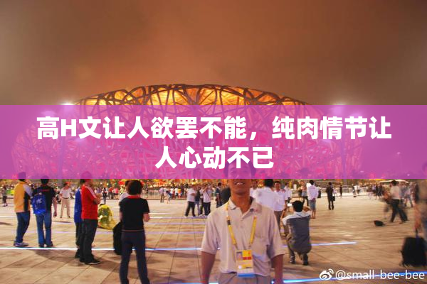 高H文让人欲罢不能，纯肉情节让人心动不已