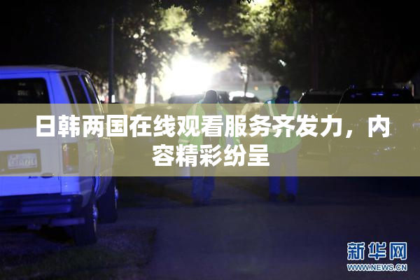 日韩两国在线观看服务齐发力，内容精彩纷呈