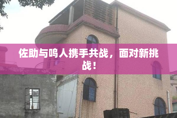 佐助与鸣人携手共战，面对新挑战！