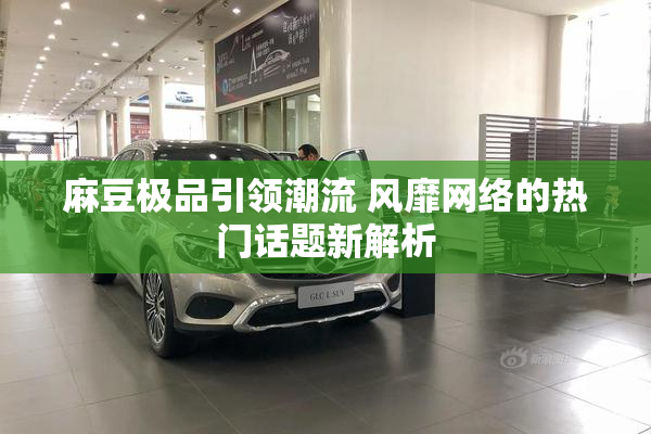 麻豆极品引领潮流 风靡网络的热门话题新解析