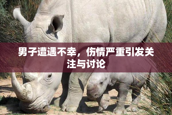 男子遭遇不幸，伤情严重引发关注与讨论