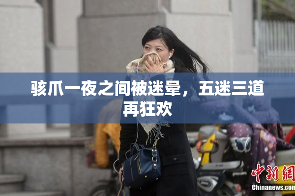 骇爪一夜之间被迷晕，五迷三道再狂欢