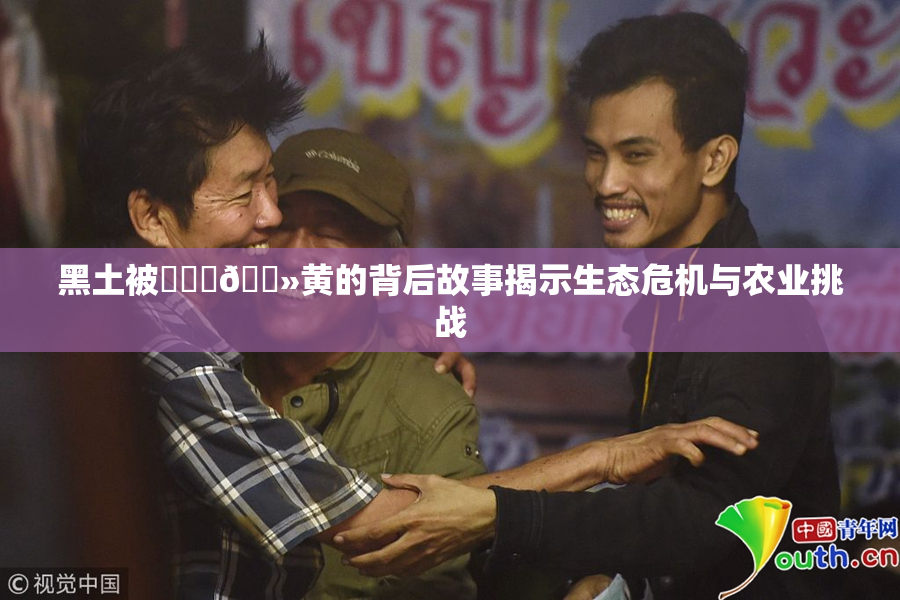 黑土被❌‌‌🐻黄的背后故事揭示生态危机与农业挑战