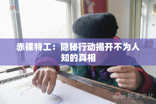 赤裸特工：隐秘行动揭开不为人知的真相