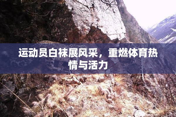 运动员白袜展风采，重燃体育热情与活力