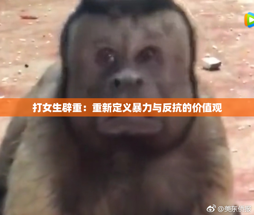 打女生辟重：重新定义暴力与反抗的价值观