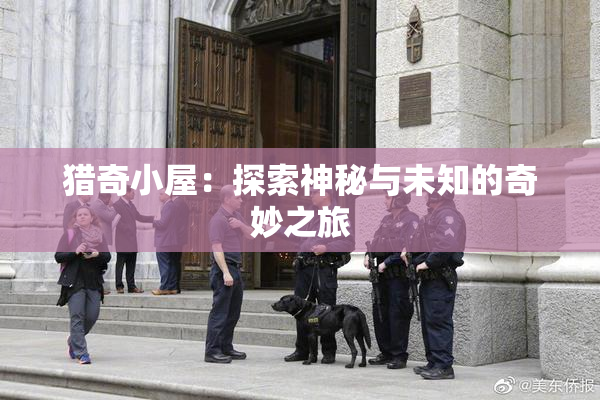 猎奇小屋：探索神秘与未知的奇妙之旅