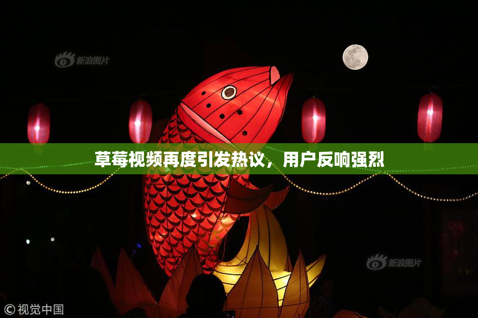 草莓视频再度引发热议，用户反响强烈